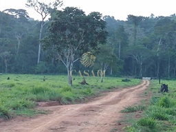 Fazenda/Sítios/Chácaras de 2 quartos, no bairro área rural de rondolândia , em Rondolândia | Eu Corretor