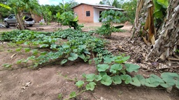 Fazenda/Sítios/Chácaras no bairro Área Rural de Cacoal, em Cacoal | Eu Corretor