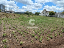 Lote/Terreno de 1m² no bairro Santo Marcon, em Irani | Eu Corretor