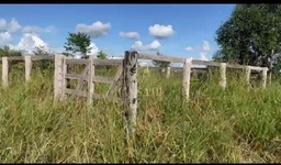 Fazenda/Sítios/Chácaras no bairro área Rural, em Pimenta Bueno | Eu Corretor