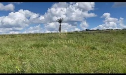 Fazenda/Sítios/Chácaras no bairro área Rural, em Pimenta Bueno | Eu Corretor