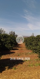 Fazenda/Sítios/Chácaras de 1 quarto, no bairro Centro, em Rio Paranaíba | Eu Corretor