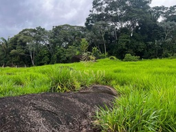 Fazenda/Sítios/Chácaras no bairro Linha 06, em Cacoal | Eu Corretor