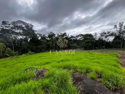 Fazenda/Sítios/Chácaras no bairro Linha 06, em Cacoal | Eu Corretor