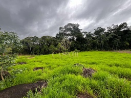Fazenda/Sítios/Chácaras no bairro Linha 06, em Cacoal | Eu Corretor