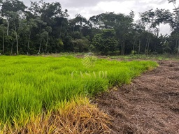 Fazenda/Sítios/Chácaras no bairro Linha 06, em Cacoal | Eu Corretor