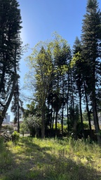 Lote/Terreno de 1518m² no bairro Jardim América, em Rio do Sul | Eu Corretor