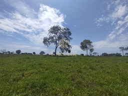Fazenda/Sítios/Chácaras no bairro Linha 6, em Cacoal | Eu Corretor