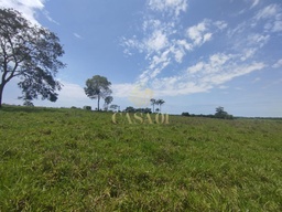Fazenda/Sítios/Chácaras no bairro Linha 6, em Cacoal | Eu Corretor