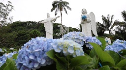 Fazenda/Sítios/Chácaras de 20m² no bairro Ipiranga, em Rodeio | Eu Corretor