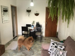 Apartamento de 2 quartos, 50m² no bairro Vila Carmosina, em São Paulo | Eu Corretor