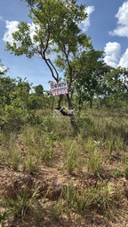 Lote/Terreno de 1000m² no bairro Lagoa Parque Sul, em Caldas Novas | Eu Corretor