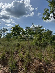 Lote/Terreno de 1000m² no bairro Lagoa Parque Sul, em Caldas Novas | Eu Corretor