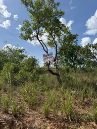 Lote/Terreno de 1000m² no bairro Lagoa Parque Sul, em Caldas Novas | Eu Corretor