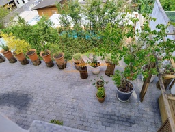 Casa de 3 quartos, 200m² no bairro Jardim Atlântico, em Florianópolis | Eu Corretor