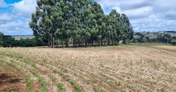 Fazenda/Sítios/Chácaras de 3 quartos, 145000m² no bairro Getúlio Vargas, em Curitibanos | Eu Corretor