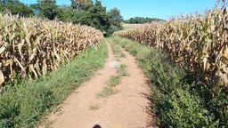 Chácara de 21800m² no bairro interior, em Horizontina | Eu Corretor