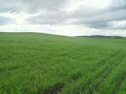 Fazenda/Sítios/Chácaras de 2038608m² no bairro Interior, em Campos Novos | Eu Corretor