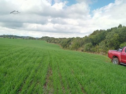 Fazenda/Sítios/Chácaras de 2038608m² no bairro Interior, em Campos Novos | Eu Corretor