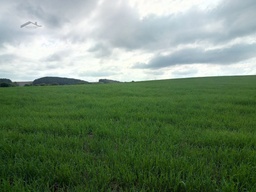 Fazenda/Sítios/Chácaras de 2038608m² no bairro Interior, em Campos Novos | Eu Corretor