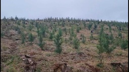 Lote/Terreno de 400000m² no bairro Centro, em São José do Cerrito | Eu Corretor