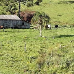 Lote/Terreno de 957686m² no bairro Centro, em Ponte Alta | Eu Corretor