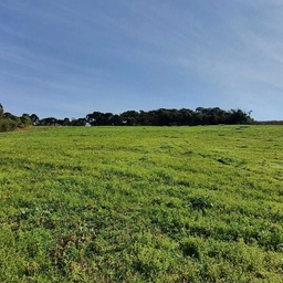 Lote/Terreno de 181500m² no bairro Passo do Marco, em Curitibanos | Eu Corretor