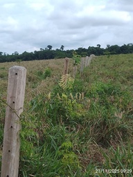 Fazenda/Sítios/Chácaras de 3 quartos, no bairro área rural, em Chupinguaia | Eu Corretor