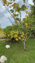 Fazenda/Sítios/Chácaras de 7 quartos, 54450m² no bairro Área Rural de Boituva, em Boituva | Eu Corretor