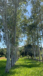 Fazenda/Sítios/Chácaras no bairro Linha 10 , em Cacoal | Eu Corretor