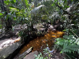 Fazenda/Sítios/Chácaras de no bairro Linha 10 , em Cacoal | Eu Corretor