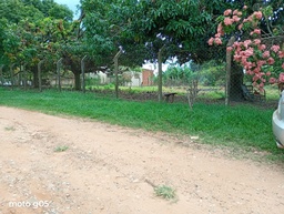 Chácara de no bairro Recanto São Lucas, em São José do Rio Preto | Eu Corretor