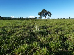 Fazenda/Sítios/Chácaras no bairro RURAL, em Nobres | Eu Corretor