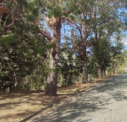 Lote/Terreno de 1556m² no bairro Albuquerque, em Teresópolis | Eu Corretor