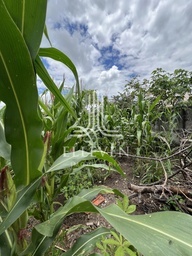 Lote/Terreno Comercial de no bairro Belo Vale , em Betim | Eu Corretor