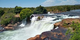 Fazenda/Sítios/Chácaras no bairro Lizarda, em Lizarda | Eu Corretor