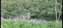 Lote/Terreno no bairro zona rural, em Sítio do Quinto | Eu Corretor