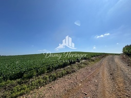 Chácara de 72m² no bairro Bateias de Baixo, em Campo Alegre | Eu Corretor