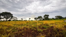 Chácara no bairro Área Rural de Cacoal, em Cacoal | Eu Corretor