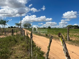 Fazenda/Sítios/Chácaras no bairro Zona Rural, em Coronel João Sá | Eu Corretor