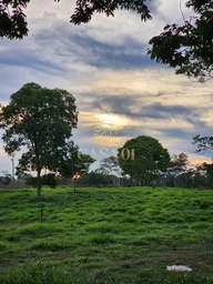 Lote/Terreno no bairro Área Rural de Cacoal, em Cacoal | Eu Corretor