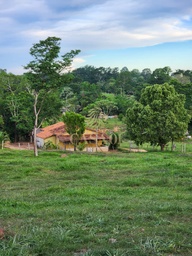 Lote/Terreno no bairro Área Rural de Cacoal, em Cacoal | Eu Corretor
