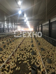 Galpão / Depósito / Armazém no bairro Área Rural, em Nova Veneza | Eu Corretor