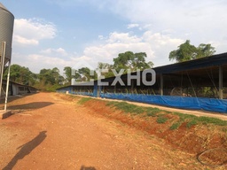 Galpão / Depósito / Armazém no bairro Área Rural, em Nova Veneza | Eu Corretor