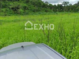 Fazenda/Sítios/Chácaras de 5 quartos, no bairro Área Rural, em Aurora do Tocantins | Eu Corretor