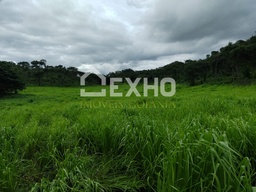 Fazenda/Sítios/Chácaras de 5 quartos, no bairro Área Rural, em Aurora do Tocantins | Eu Corretor