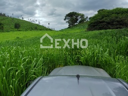 Fazenda/Sítios/Chácaras de 5 quartos, no bairro Área Rural, em Aurora do Tocantins | Eu Corretor