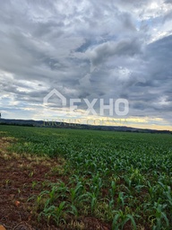 Fazenda/Sítios/Chácaras no bairro Área Rural, em Itauçu | Eu Corretor