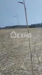 Fazenda/Sítios/Chácaras no bairro Área Rural, em Silvânia | Eu Corretor