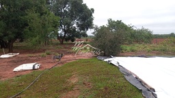Fazenda/Sítios/Chácaras de 2 quartos, no bairro Centro, em Lucas do Rio Verde | Eu Corretor